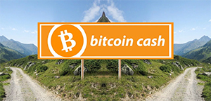Bitcoin Cash crolla a causa del fork